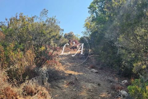 Terra a Coti-Chiavari, Corse-du-Sud, Coti-Chiavari - € 240.000 | Ref: CHAM000991POR - foto 12