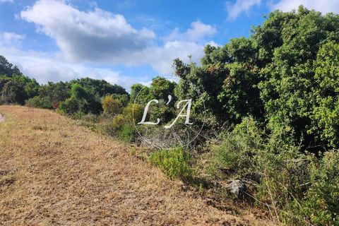 Terra a Coti-Chiavari, Corse-du-Sud, Coti-Chiavari - € 240.000 | Ref: CHAM000991POR - foto 13