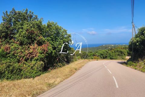 Terra a Coti-Chiavari, Corse-du-Sud, Coti-Chiavari - € 240.000 | Ref: CHAM000991POR - foto 14