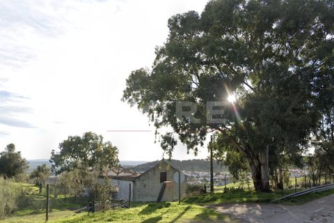 Villa a Arraiolos, Evora, Arraiolos - € 110.000 | Ref: 03362/M001 - foto 6