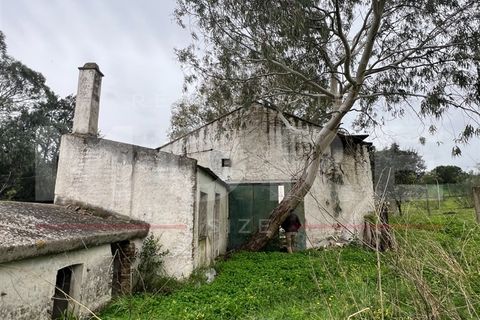 Villa a Arraiolos, Evora, Arraiolos - € 110.000 | Ref: 03362/M001 - foto 8