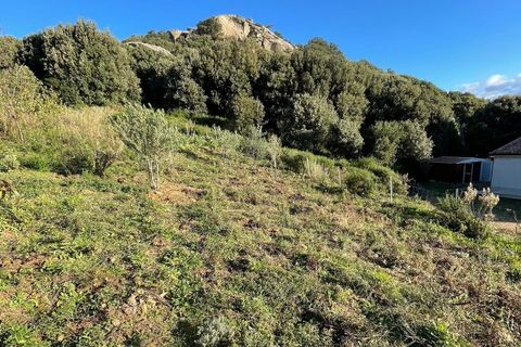 Villa i Luogosanto, Sassari, Luogosanto - € 460.000 | Ref: LUOGOS51 - foto 5
