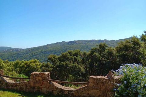 Villa i Luogosanto, Sassari, Luogosanto - € 460.000 | Ref: LUOGOS51 - foto 7