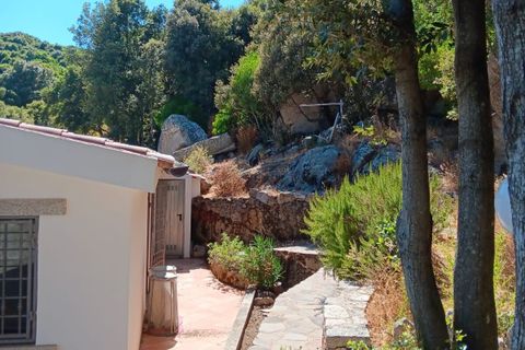 Villa i Luogosanto, Sassari, Luogosanto - € 460.000 | Ref: LUOGOS51 - foto 12