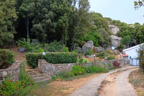 Villa i Luogosanto, Sassari, Luogosanto - € 460.000 | Ref: LUOGOS51 - foto 35