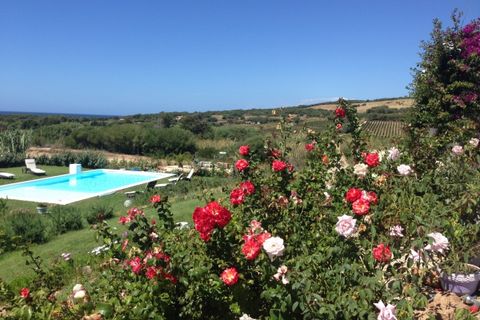 Villa a Badesi, Sassari, Badesi - € 505.000 | Ref: BAD50 - foto 46