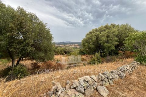 Villa a Luogosanto, Sassari, Luogosanto - € 310.000 | Ref: LUOGOS50 - foto 7