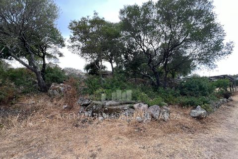 Villa a Luogosanto, Sassari, Luogosanto - € 310.000 | Ref: LUOGOS50 - foto 8