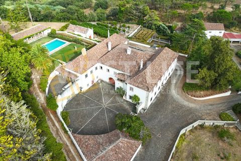 Farm i Mafra, Lisbon, Mafra - € 8.500.000 | Ref: 5392WM - foto 4