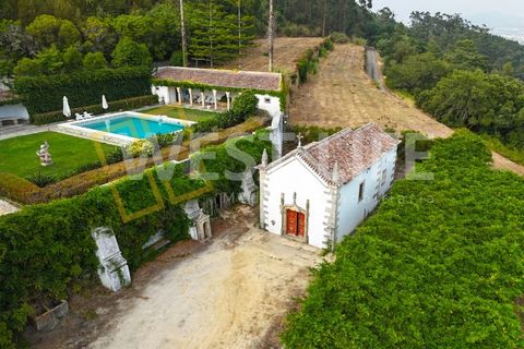 Farm i Mafra, Lisbon, Mafra - € 8.500.000 | Ref: 5392WM - foto 22