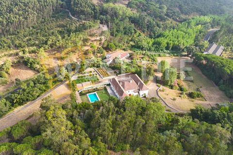 Farm i Mafra, Lisbon, Mafra - € 8.500.000 | Ref: 5392WM - foto 23