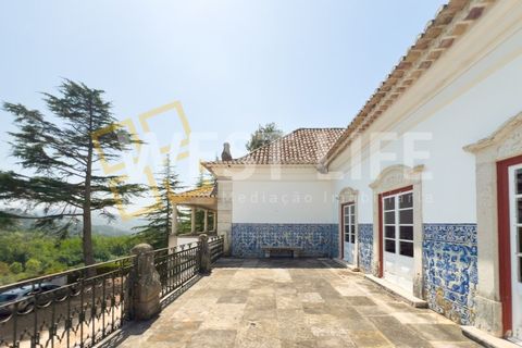 Farm i Mafra, Lisbon, Mafra - € 8.500.000 | Ref: 5392WM - foto 25