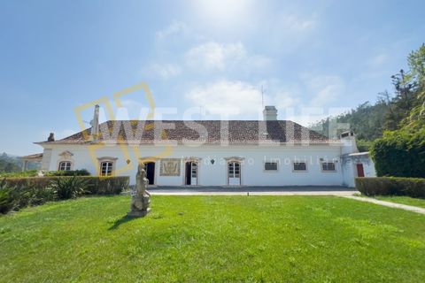 Farm i Mafra, Lisbon, Mafra - € 8.500.000 | Ref: 5392WM - foto 47