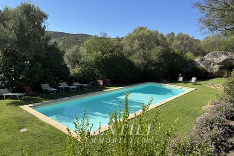 Villa i Luogosanto, Sassari, Luogosanto - € 800.000 | Ref: AZ-20 - foto 2