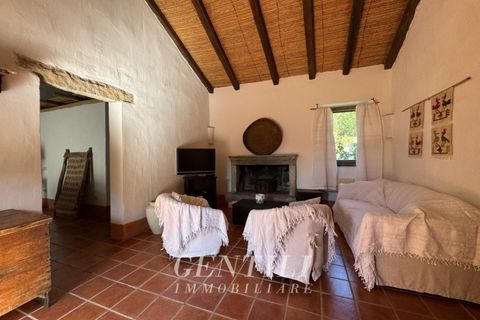 Villa i Luogosanto, Sassari, Luogosanto - € 800.000 | Ref: AZ-20 - foto 7