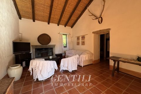 Villa i Luogosanto, Sassari, Luogosanto - € 800.000 | Ref: AZ-20 - foto 8
