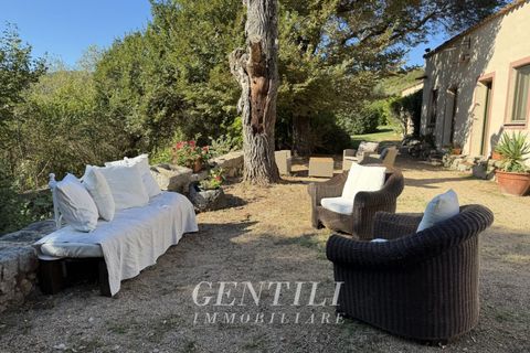 Villa i Luogosanto, Sassari, Luogosanto - € 800.000 | Ref: AZ-20 - foto 16