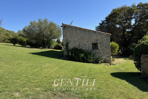 Villa i Luogosanto, Sassari, Luogosanto - € 800.000 | Ref: AZ-20 - foto 25