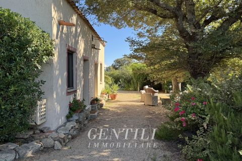 Villa i Luogosanto, Sassari, Luogosanto - € 800.000 | Ref: AZ-20 - foto 26