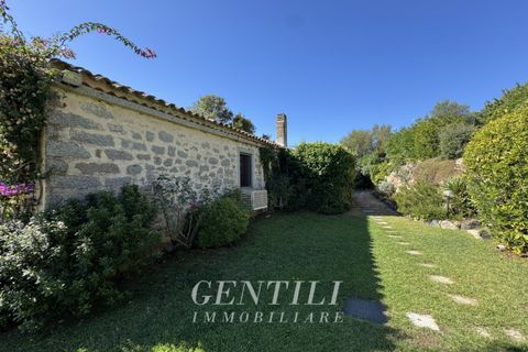 Villa i Luogosanto, Sassari, Luogosanto - € 800.000 | Ref: AZ-20 - foto 28