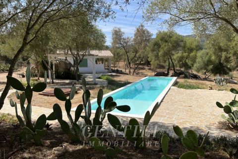 Villa i Olbia, Sassari, Olbia - € 1.080.000 | Ref: AZ-35 - foto 1