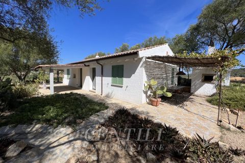 Villa i Olbia, Sassari, Olbia - € 1.080.000 | Ref: AZ-35 - foto 3
