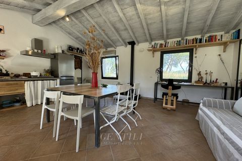 Villa i Olbia, Sassari, Olbia - € 1.080.000 | Ref: AZ-35 - foto 5