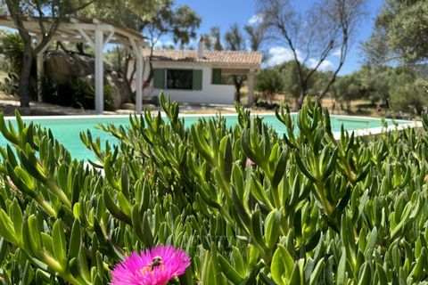 Villa i Olbia, Sassari, Olbia - € 1.080.000 | Ref: AZ-35 - foto 17