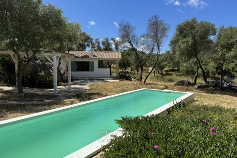 Villa i Olbia, Sassari, Olbia - € 1.080.000 | Ref: AZ-35 - foto 18
