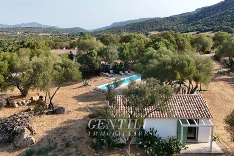 Villa i Olbia, Sassari, Olbia - € 1.080.000 | Ref: AZ-35 - foto 19