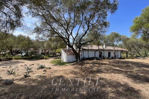 Villa i Olbia, Sassari, Olbia - € 1.080.000 | Ref: AZ-35 - foto 24