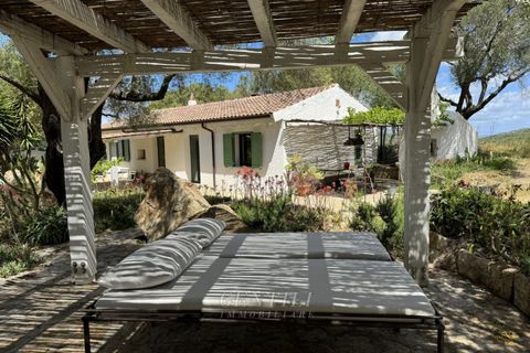 Villa i Olbia, Sassari, Olbia - € 1.080.000 | Ref: AZ-35 - foto 28