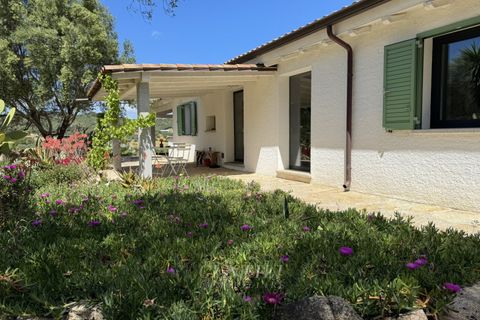 Villa i Olbia, Sassari, Olbia - € 1.080.000 | Ref: AZ-35 - foto 29