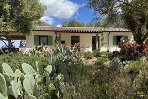 Villa i Olbia, Sassari, Olbia - € 1.080.000 | Ref: AZ-35 - foto 30