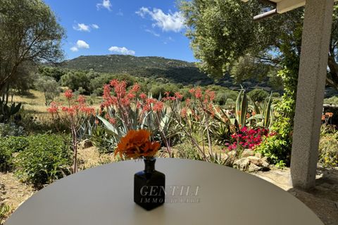 Villa i Olbia, Sassari, Olbia - € 1.080.000 | Ref: AZ-35 - foto 31
