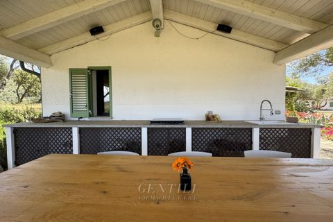 Villa i Olbia, Sassari, Olbia - € 1.080.000 | Ref: AZ-35 - foto 35