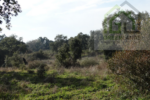 Helårsgrund i Arganil, Coimbra, Arganil - € 23.600 | Ref: 671 - foto 2