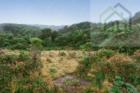 Helårsgrund i Arganil, Coimbra, Arganil - € 23.600 | Ref: 671 - foto 4