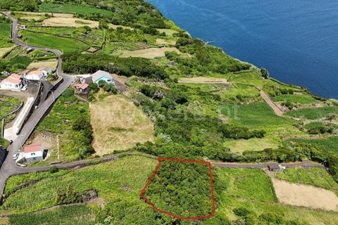 Helårsgrund i Lajes do Pico, Pico, Lajes do Pico - € 55.000 | Ref: 374250183 - foto 3