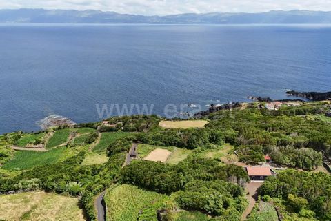 Helårsgrund i Lajes do Pico, Pico, Lajes do Pico - € 55.000 | Ref: 374250183 - foto 4