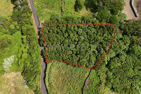 Helårsgrund i Lajes do Pico, Pico, Lajes do Pico - € 55.000 | Ref: 374250183 - foto 5