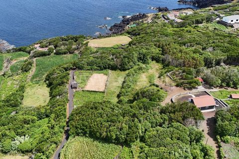 Helårsgrund i Lajes do Pico, Pico, Lajes do Pico - € 55.000 | Ref: 374250183 - foto 6