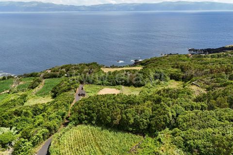 Helårsgrund i Lajes do Pico, Pico, Lajes do Pico - € 55.000 | Ref: 374250183 - foto 7