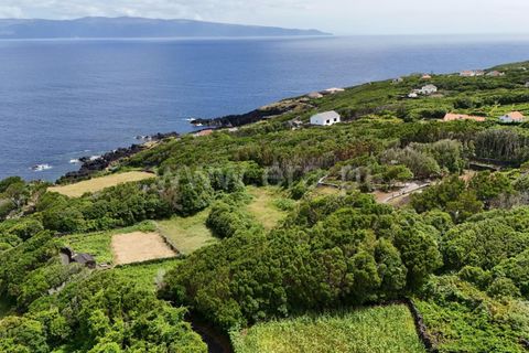 Helårsgrund i Lajes do Pico, Pico, Lajes do Pico - € 55.000 | Ref: 374250183 - foto 8
