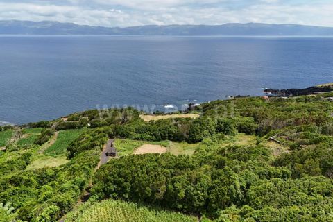 Helårsgrund i Lajes do Pico, Pico, Lajes do Pico - € 55.000 | Ref: 374250183 - foto 9