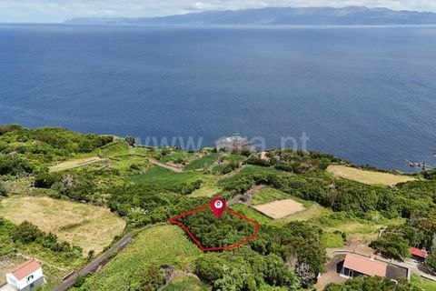 Helårsgrund i Lajes do Pico, Pico, Lajes do Pico - € 55.000 | Ref: 374250183 - foto 10