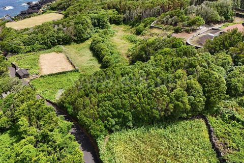 Helårsgrund i Lajes do Pico, Pico, Lajes do Pico - € 55.000 | Ref: 374250183 - foto 11