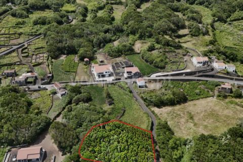 Helårsgrund i Lajes do Pico, Pico, Lajes do Pico - € 55.000 | Ref: 374250183 - foto 12