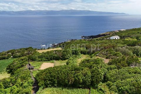 Helårsgrund i Lajes do Pico, Pico, Lajes do Pico - € 55.000 | Ref: 374250183 - foto 13