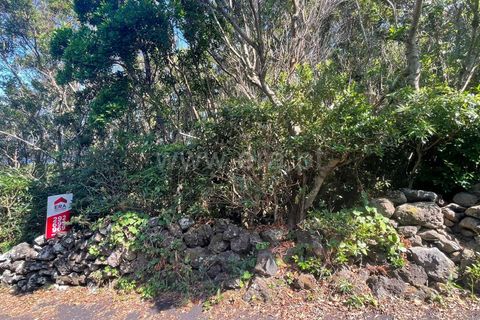 Helårsgrund i Lajes do Pico, Pico, Lajes do Pico - € 55.000 | Ref: 374250183 - foto 14